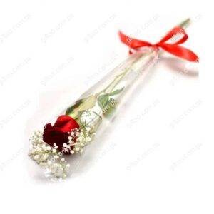 single rose