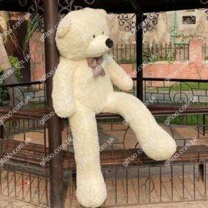 teddy loce